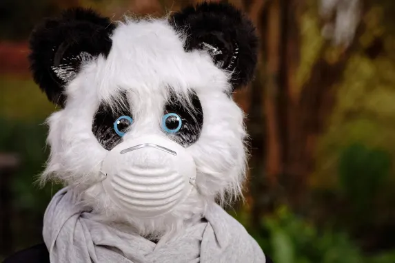 Вегадрийм Казино Поддръжка